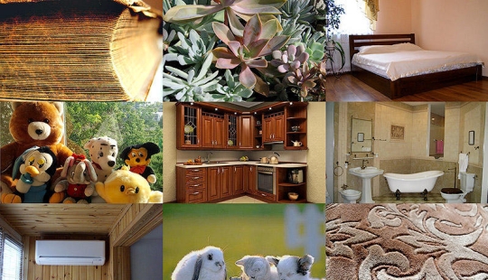 10 sources of allergies in your home