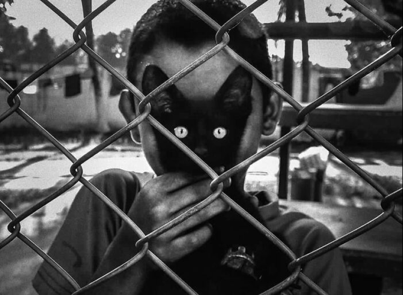 10 Street Photographs That Managed To Capture The Beauty Of Cats, Featured On This Instagram Page (Part2) 10 Street Photographs That Managed To Capture The Beauty Of Cats, Featured On This Instagram Page (Part2)