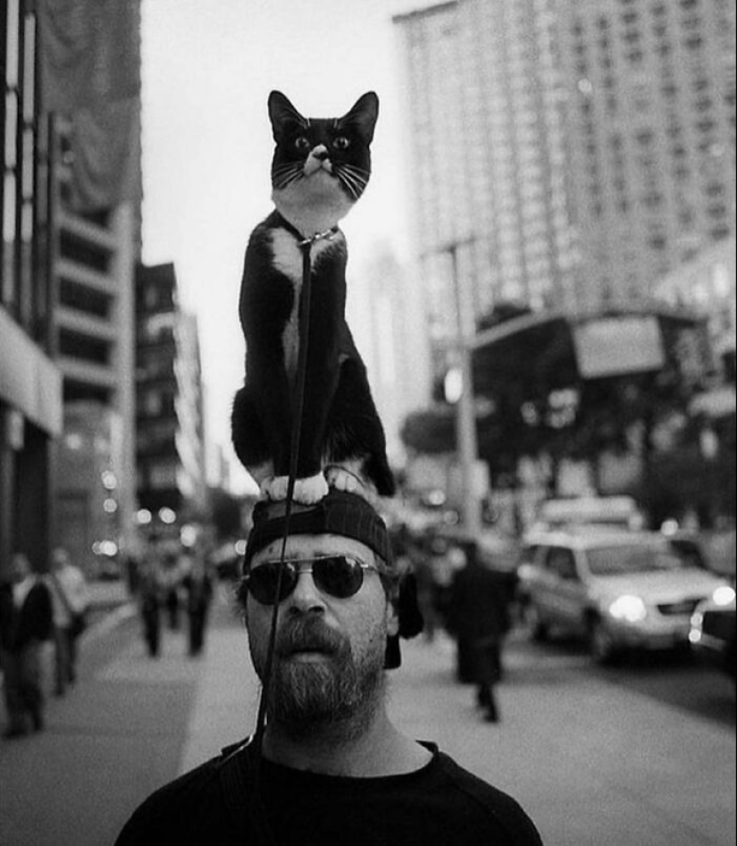 10 Street Photographs That Managed To Capture The Beauty Of Cats, Featured On This Instagram Page (Part2) 10 Street Photographs That Managed To Capture The Beauty Of Cats, Featured On This Instagram Page (Part2)