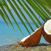 10 Surprising Facts About Coconuts 10 Surprising Facts About Coconuts