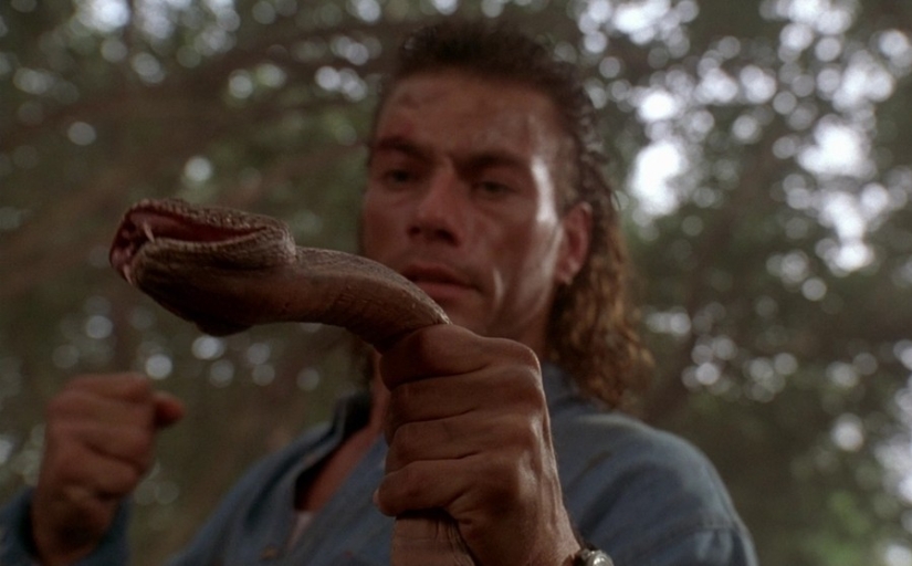 10 Survival Movie Myths That Don&#39;t Bode Good