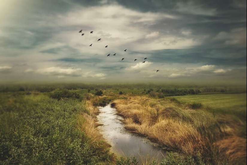 10 Talented Photographers That Won The 35th AAP Magazine Photography Awards In The Theme “Colors”