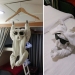 10 Times People Had The Funniest Glasses 10 Times People Had The Funniest Glasses