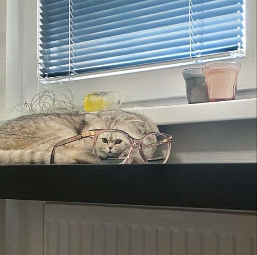 10 Times People Had The Funniest Glasses
