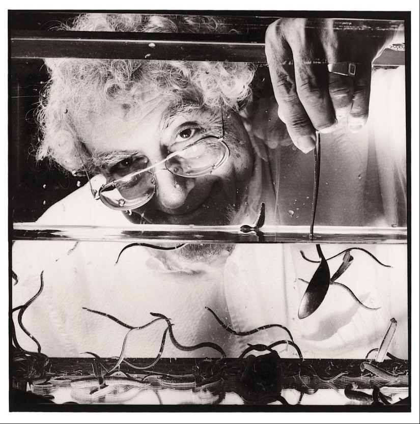 10 trabajos más raros que no sabías que existían 10 trabajos más raros que no sabías que existían