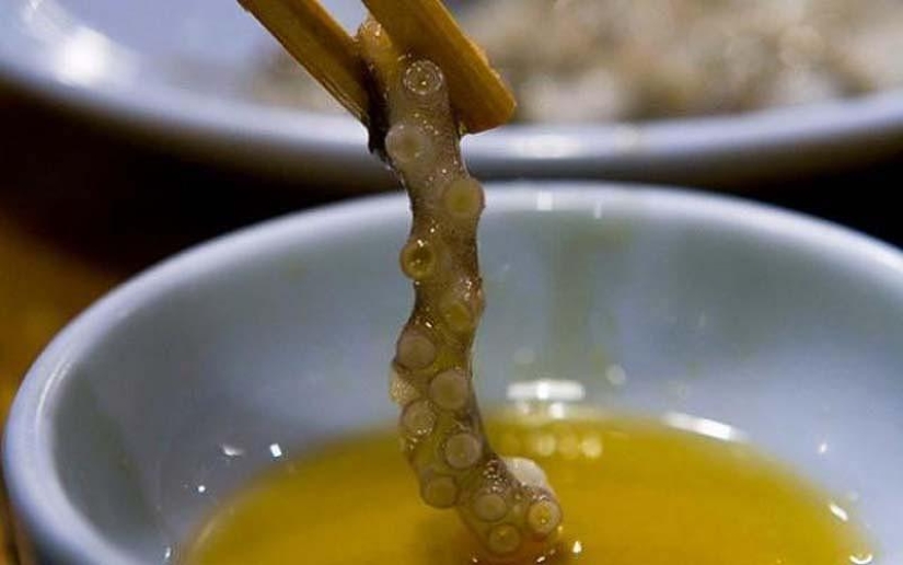 10 unusual delicacies from living creatures