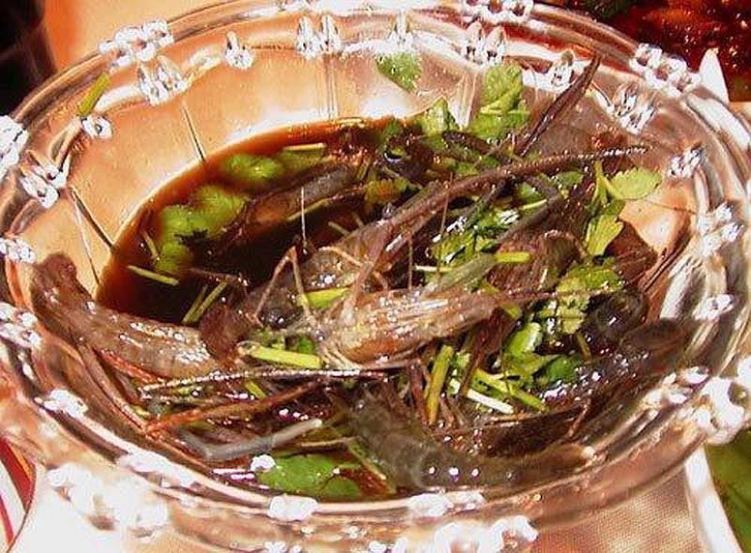 10 unusual delicacies from living creatures