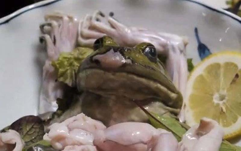 10 unusual delicacies from living creatures