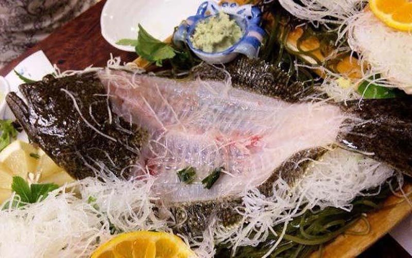10 unusual delicacies from living creatures