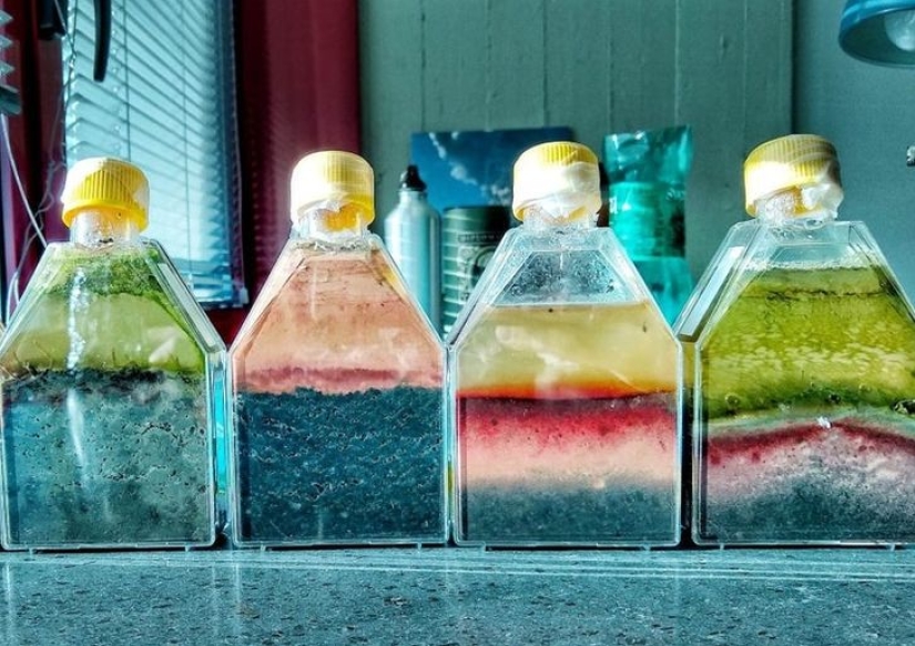 10 veces en que las personas dieron vida a las cosas cotidianas y las convirtieron en arte