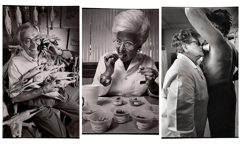 10 Weirdest Jobs You Didn't Know Existed 10 Weirdest Jobs You Didn't Know Existed