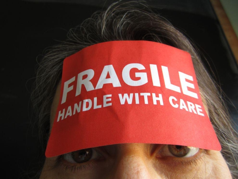 10 weirdest things sold on eBay