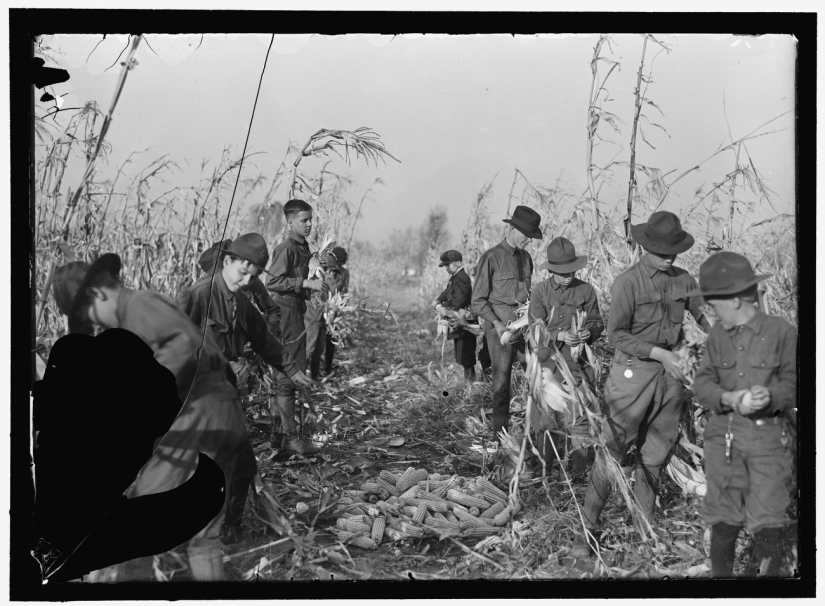 105 Aniversario de los Boy Scouts of America