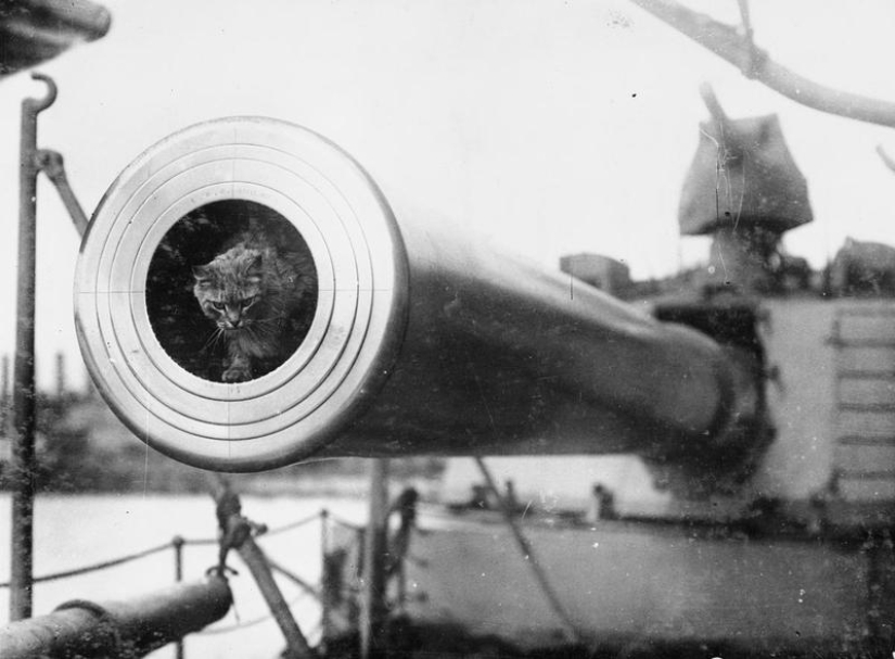 109 años de &quot;Sin Miedo&quot;