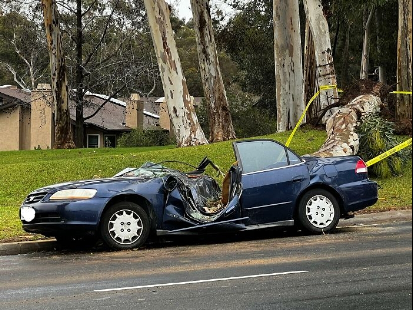 11 de las cosas más desafortunadas con las que la gente se vio obligada a lidiar (Parte 2)