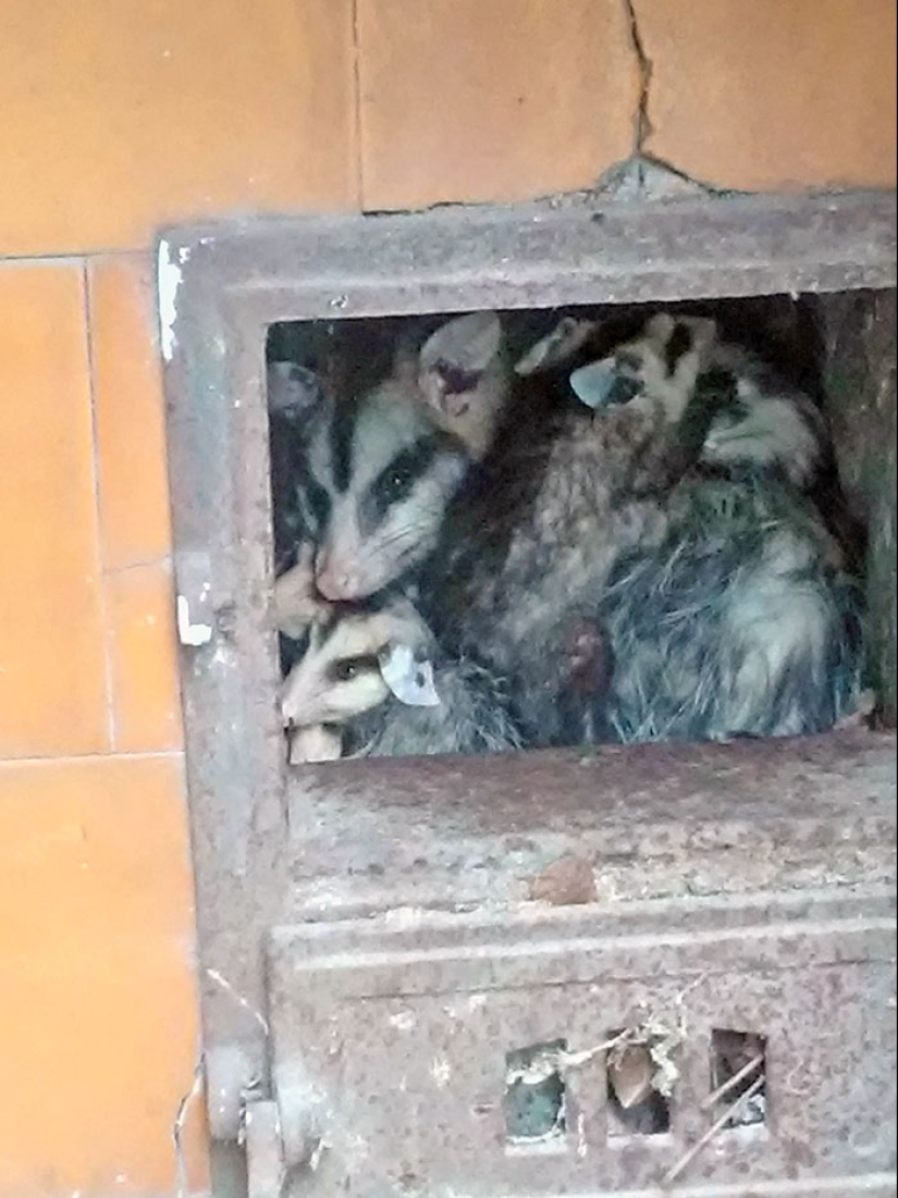 11 de las cosas más desafortunadas con las que la gente se vio obligada a lidiar (Parte 2)