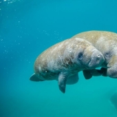 11 hechos extraños y sorprendentes que probablemente no sabías