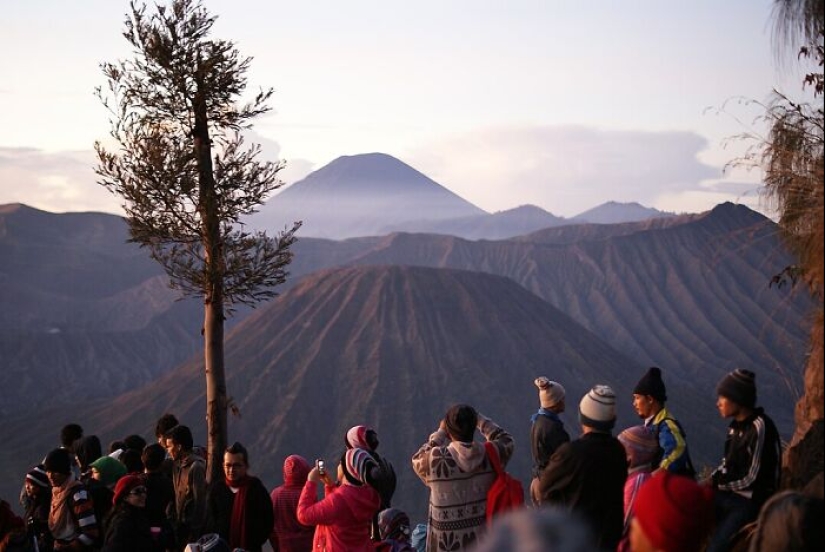 11 hechos extraños y sorprendentes que probablemente no sabías