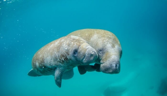 11 hechos extraños y sorprendentes que probablemente no sabías