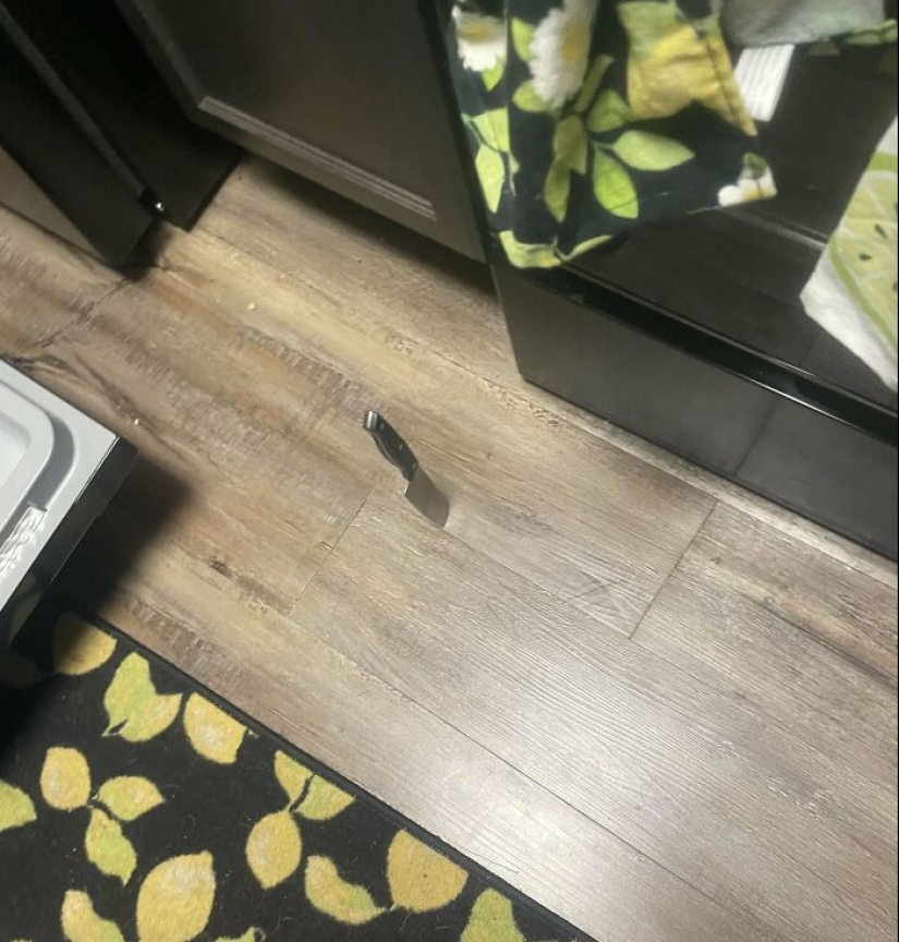 11 ocasiones en las que la gente descubrió un truco de cocina revolucionario y simplemente tuvo que compartirlo