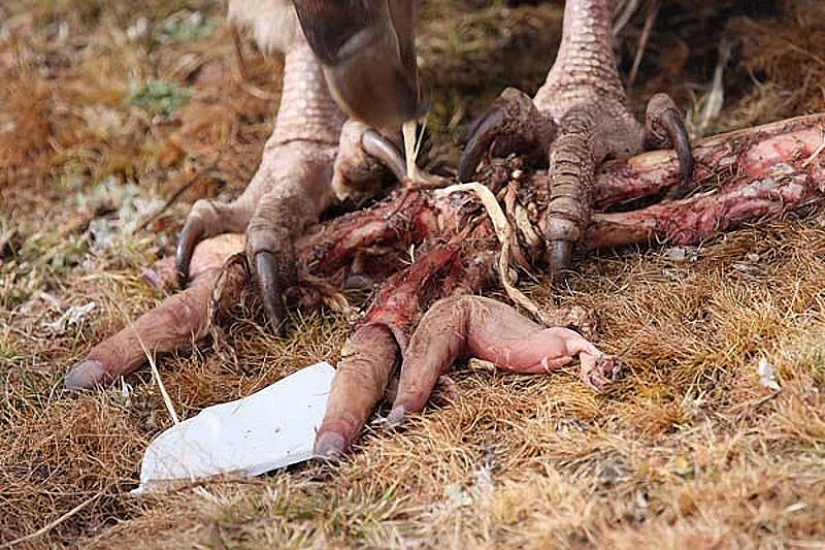 11 Terrifying Ancient Rituals Still Practiced Today