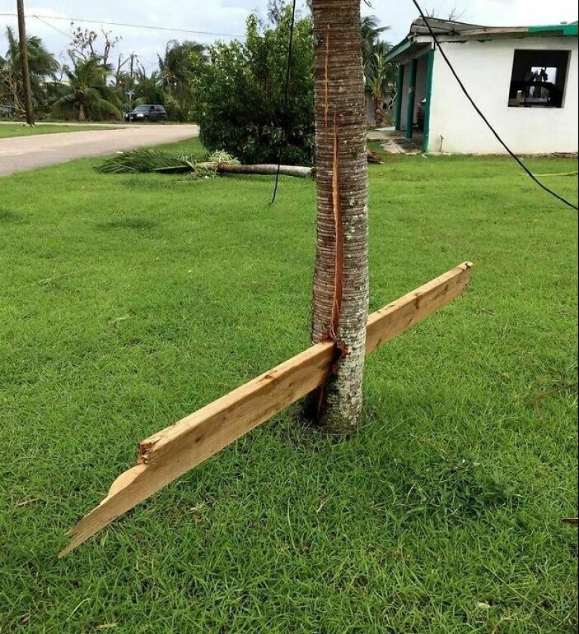 12 Crazy Pics Of Mother Nature Doing Things On Its Own Terms 12 Crazy Pics Of Mother Nature Doing Things On Its Own Terms