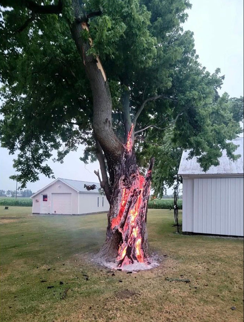 12 Crazy Pics Of Mother Nature Doing Things On Its Own Terms 12 Crazy Pics Of Mother Nature Doing Things On Its Own Terms