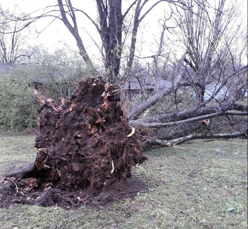 12 Crazy Pics Of Mother Nature Doing Things On Its Own Terms 12 Crazy Pics Of Mother Nature Doing Things On Its Own Terms