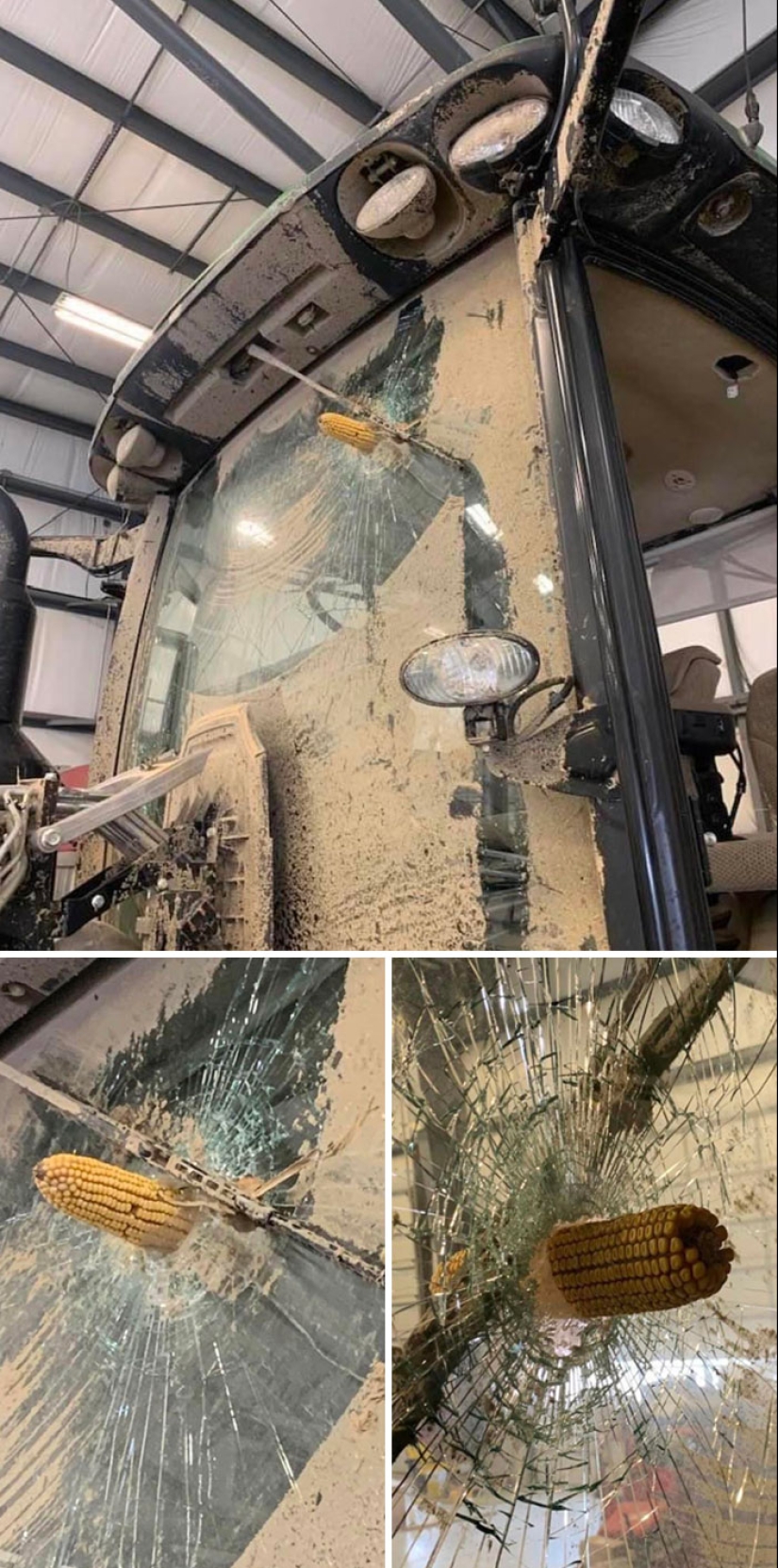 12 fotografías locas de la madre naturaleza haciendo las cosas en sus propios términos