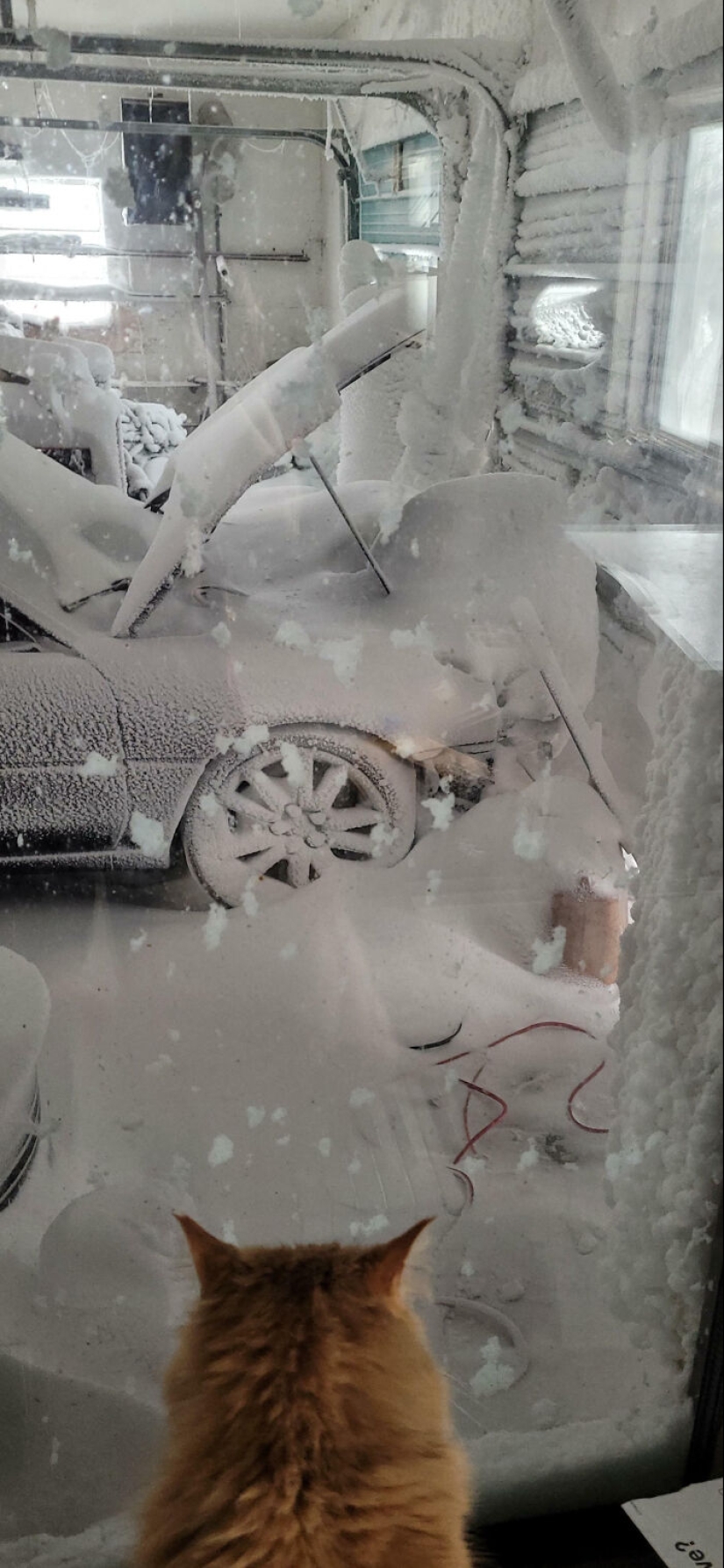 12 fotografías locas de la madre naturaleza haciendo las cosas en sus propios términos