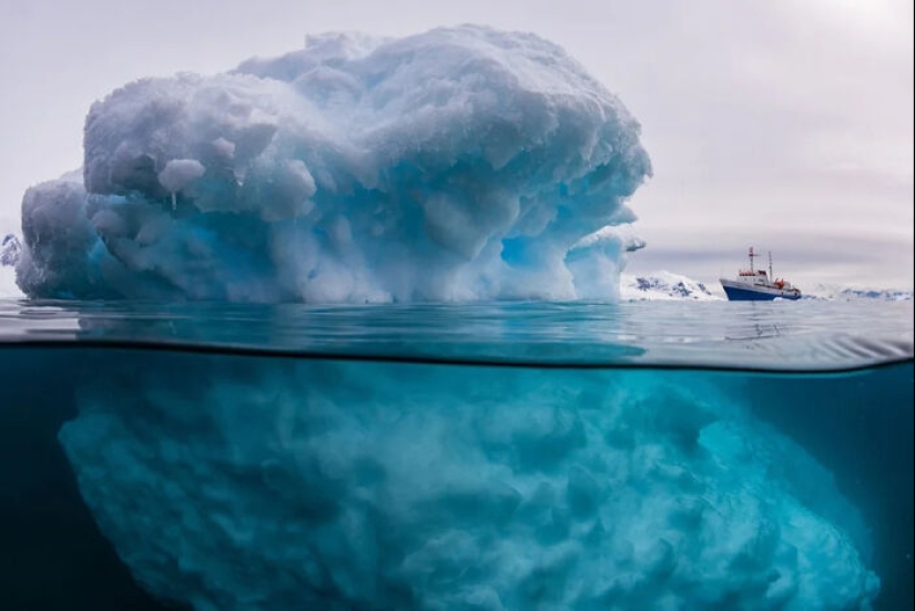 12 fotos aterradoras que nos hacen querer permanecer lo más lejos posible del océano