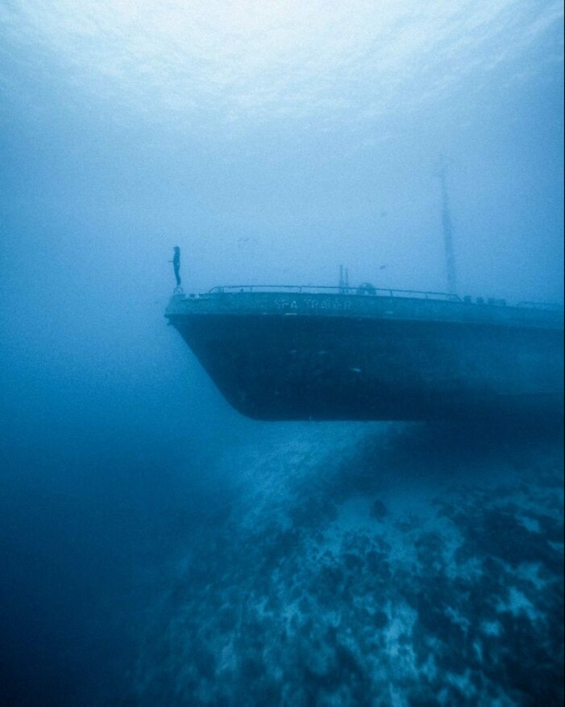 12 fotos aterradoras que nos hacen querer permanecer lo más lejos posible del océano