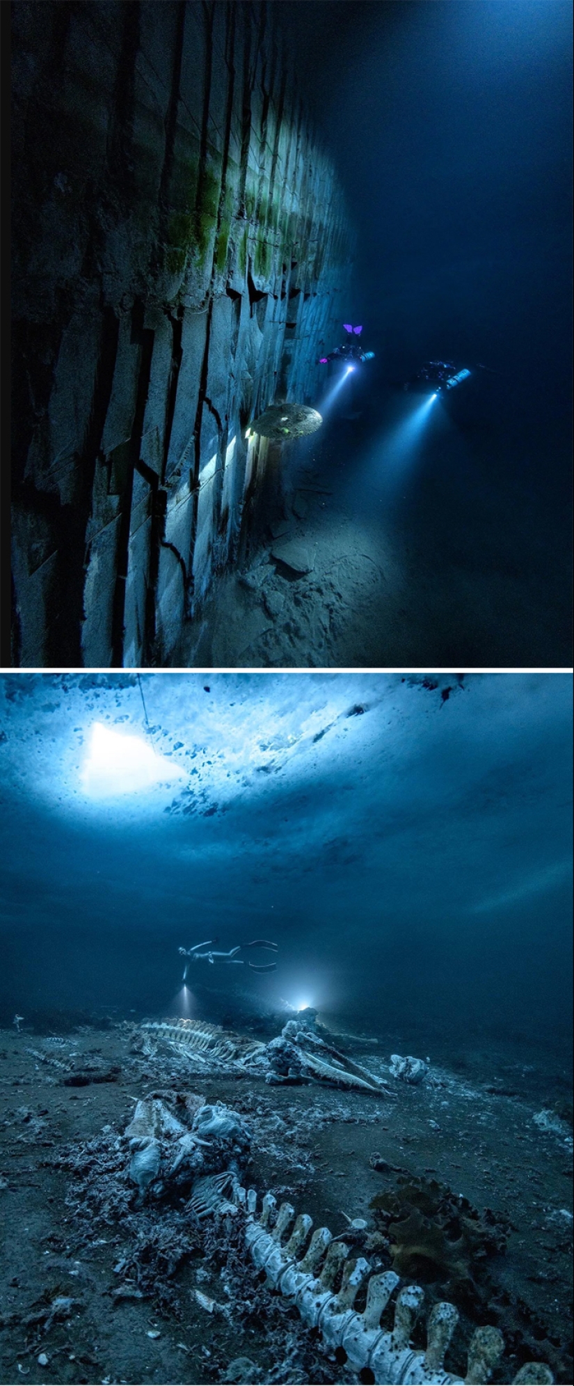 12 Frightening Pics That Make Us Want To Stay As Far Away From The Ocean As Possible