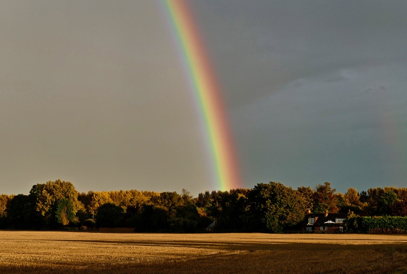 12 little-known names for things that everyone knows