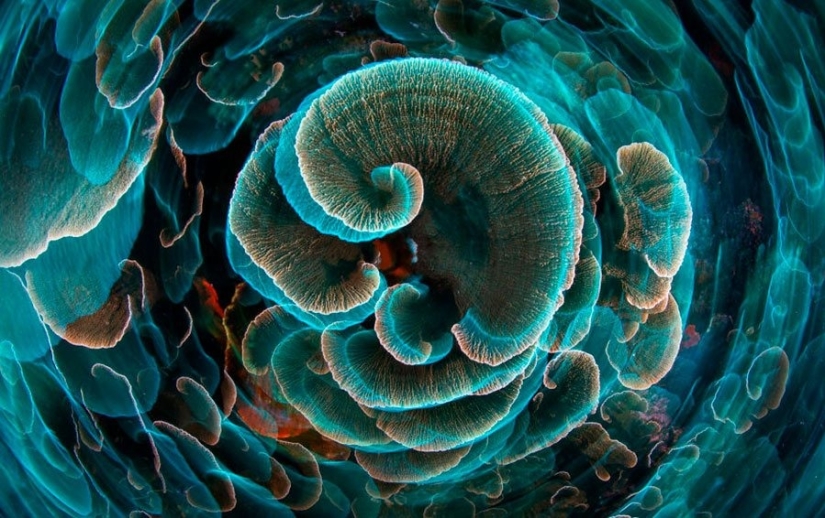 12 photos of rare beauty that you can look at for hours