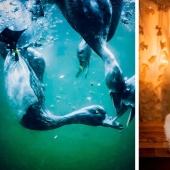 12 photos of rare beauty that you can look at for hours 12 photos of rare beauty that you can look at for hours