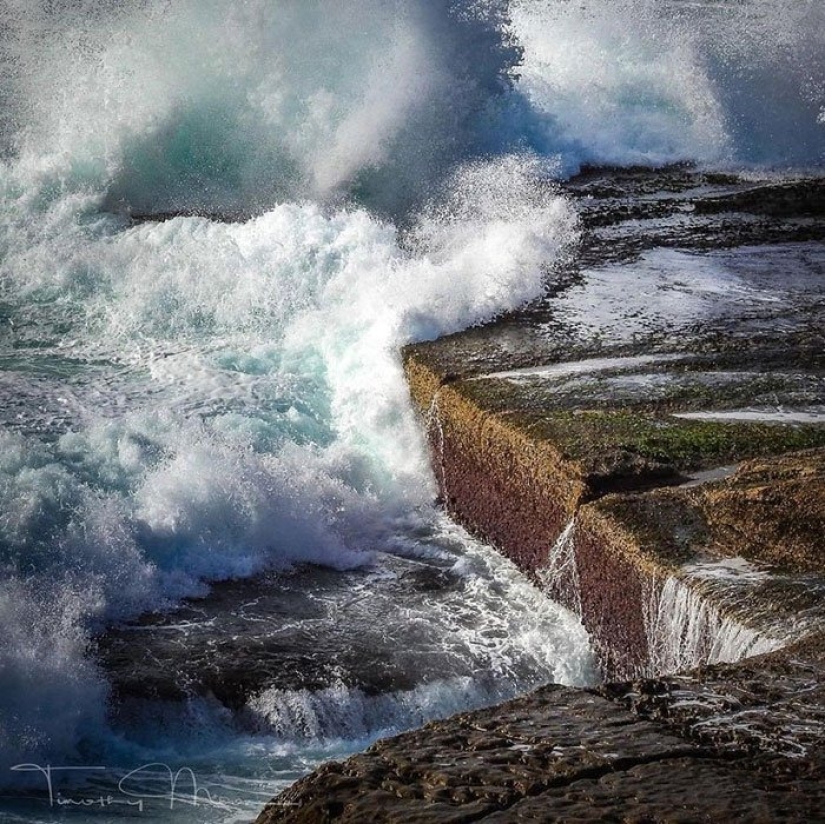 12 photos of rare beauty that you can look at for hours