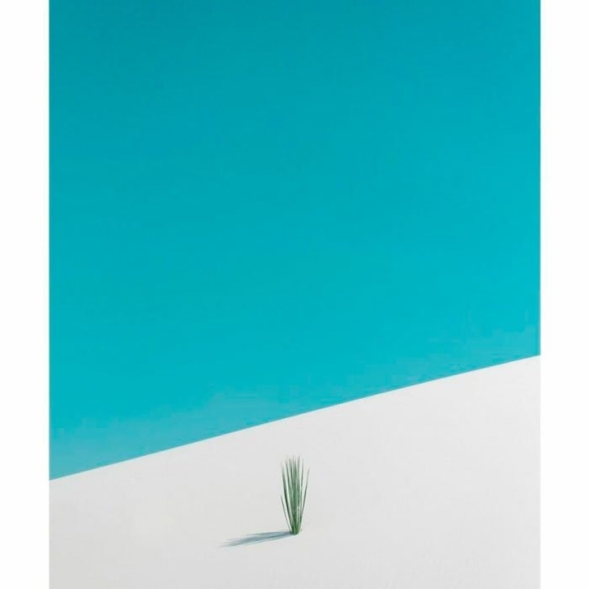 12 photos of rare beauty that you can look at for hours