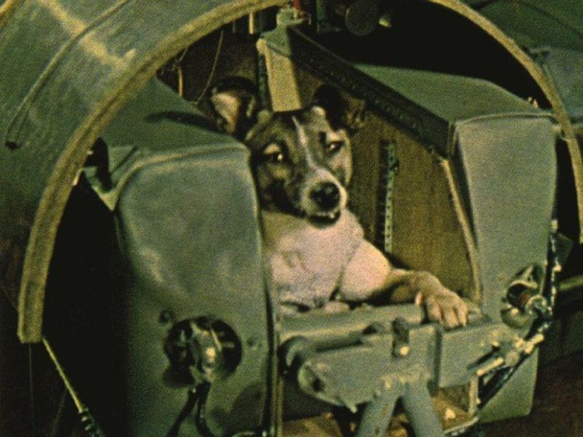 12 pioneros del espacio