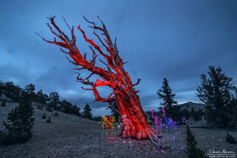 12 proyectos de arte que admiramos en 2015 12 proyectos de arte que admiramos en 2015