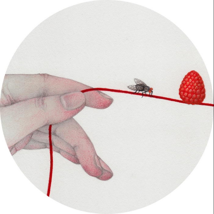 12 suaves ilustraciones de Vicki Ling