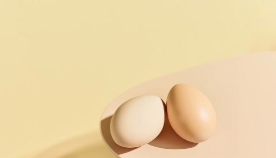 12 Talented Photographers Who Won The AAP Magazine Awards: "Shapes" 12 Talented Photographers Who Won The AAP Magazine Awards: "Shapes"