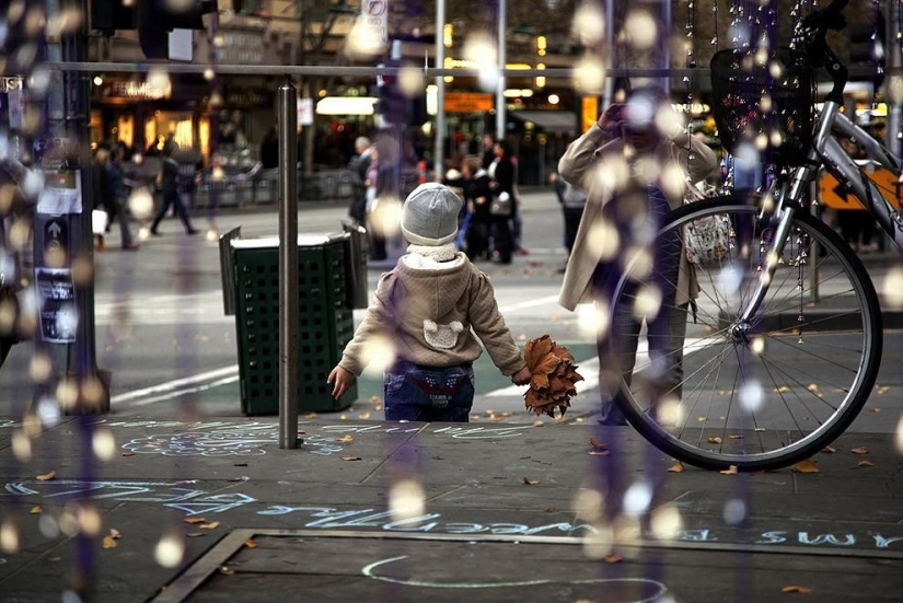 12 thousand bells on a tree 12 thousand bells on a tree