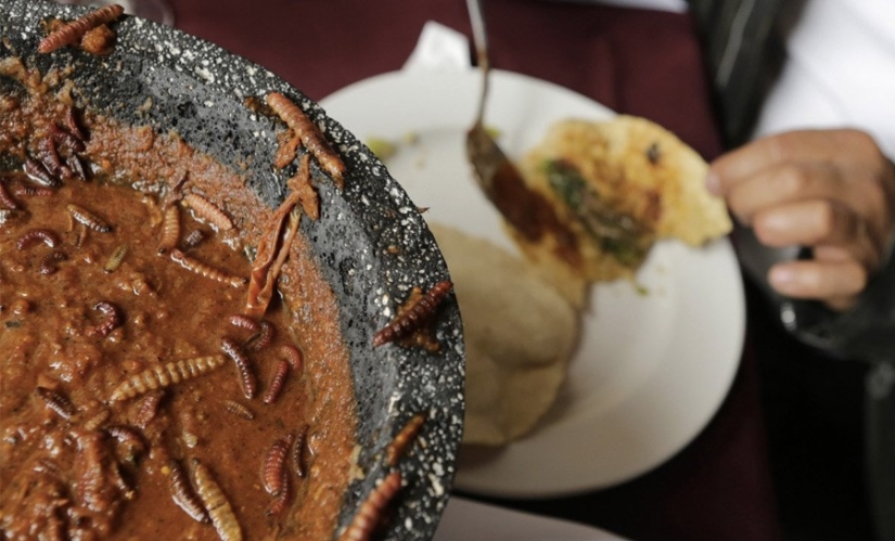 13 extreme dishes that not everyone dares to try 13 extreme dishes that not everyone dares to try