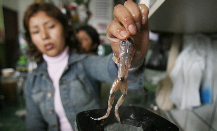 13 extreme dishes that not everyone dares to try 13 extreme dishes that not everyone dares to try