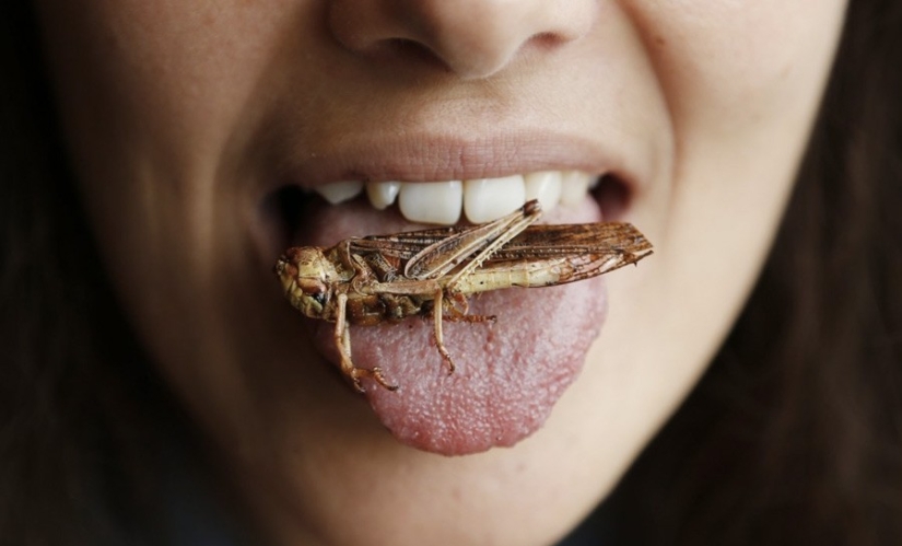 13 extreme dishes that not everyone dares to try 13 extreme dishes that not everyone dares to try