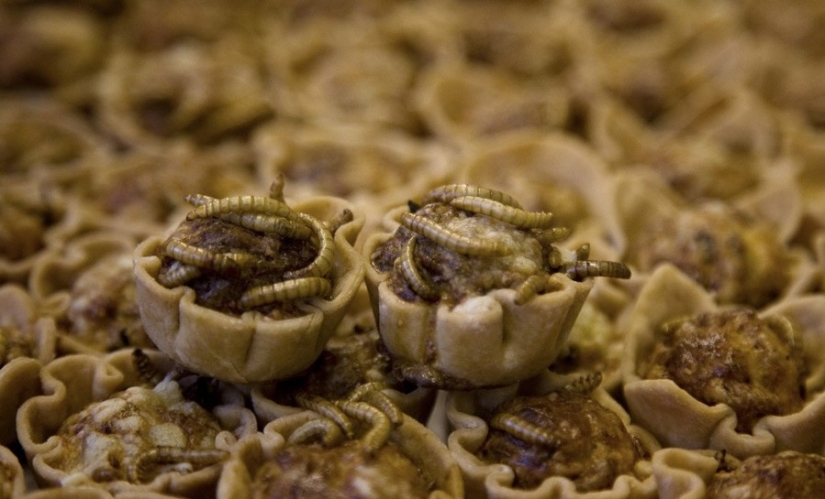 13 extreme dishes that not everyone dares to try 13 extreme dishes that not everyone dares to try