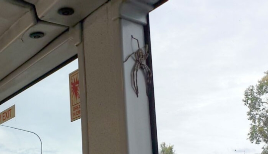 13 fotos de personas que están teniendo un peor día en el trabajo que tú (nuevas fotos)