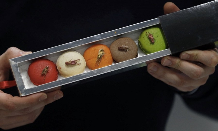 13 platos extremos que no todo el mundo se atreve a probar 13 platos extremos que no todo el mundo se atreve a probar