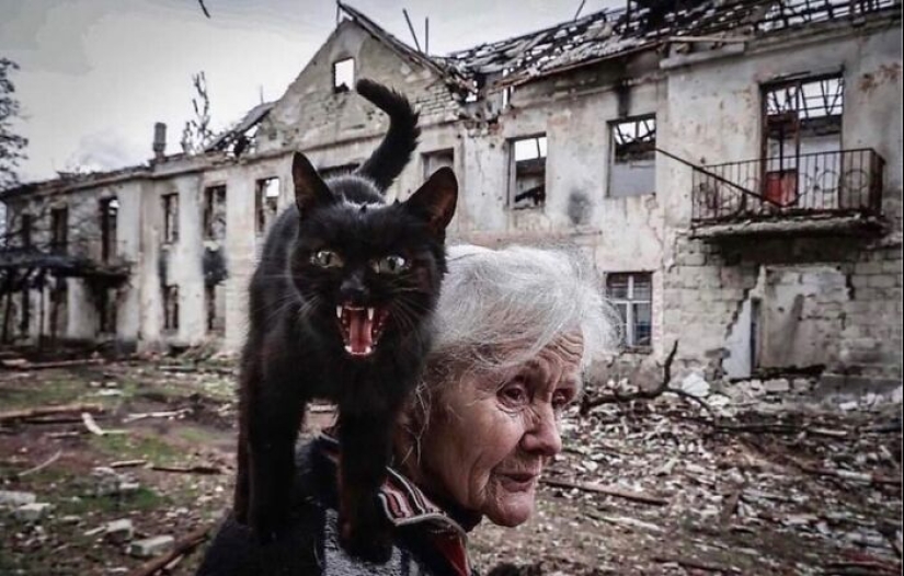 13 Street Photographs That Managed To Capture The Beauty Of Cats, Featured On This Instagram Page